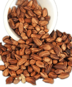 ibogaine seeds for sale